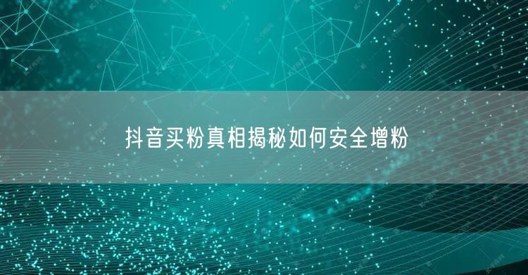 抖音买粉真相揭秘如何安全增粉