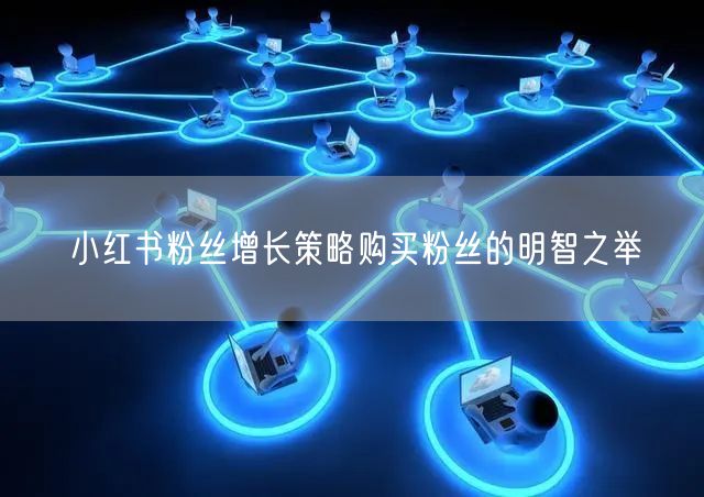 小红书粉丝增长策略购买粉丝的明智之举
