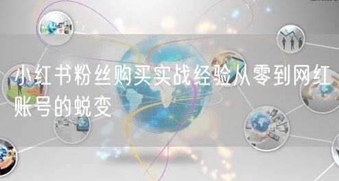 小红书粉丝购买实战经验从零到网红账号的蜕变