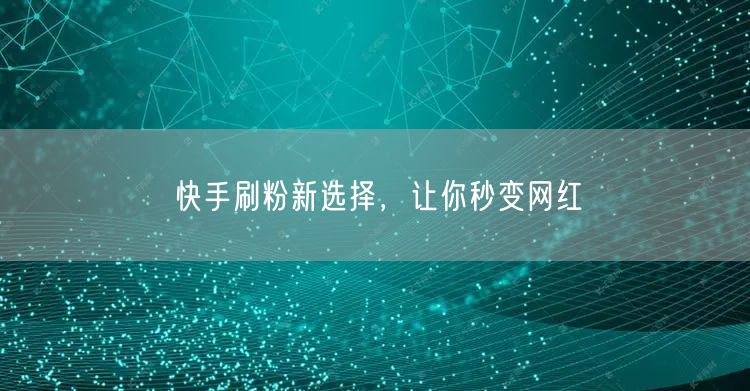 快手刷粉新选择，让你秒变网红